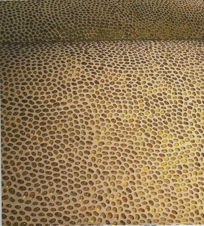 Wave Glass  Micro Pebble Tile