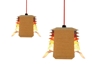 Bio lantern