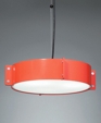 d5242 MERIDIAN 16 3/4" wide x 3 5/8" deep pendant d5242 MERIDIAN 16 3/4" wide x 3 5/8" deep pendant
