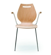 Roses Arm Chair