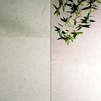 Gascogne Beige Honed