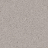 Gris Ceniza