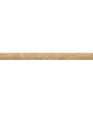 Champagne Gold (Pencil Rail) TS51