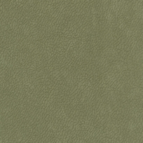 VERDE 212022