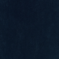 SIGNAL 212018