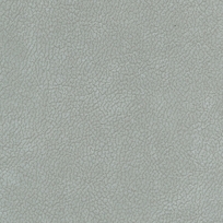 STEEL 212001