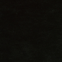 NIGHT WATCH 212003