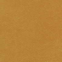 GOLDENROD 212011