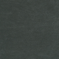 ALLOY 212002