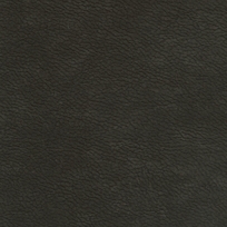 BARK 212004