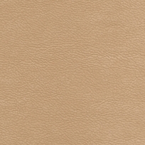 BISQUE 212010