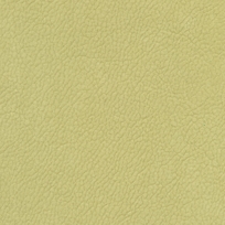 CITRUS 212025