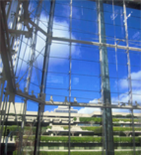 Structural Glass Solutions Structural Glass Solutions