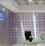 Gage Metal Ceilings