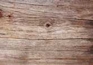 NEW ENGLAND GREY BOARD NEW ENGLAND GREY BOARD