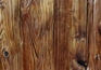 MUSHROOM BOARD