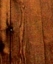 ANTIQUE HEMLOCK