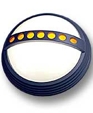 Fascia Forms