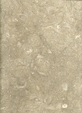 Sea Grass Limestone