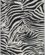 Outdoor Zebra Rug