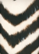P201 Zebra - Ivory/Black