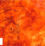 Panelites Laminates