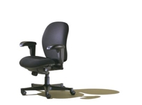 Ambi Chairs