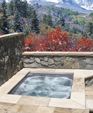 CUSTOM STAINLESS STEEL SPA WITH AUTOMATIC COVER
