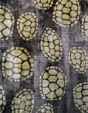 Tortoise Shell Tortoise Shell