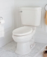Oakmont Champion®4 Right Height™ Elongated Toilet Oakmont Champion®4 Right Height™ Elongated Toilet