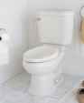 Oakmont Champion®4 Elongated Toilet