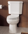 Williamsburg Champion® Two-Piece Elongated Toilet
