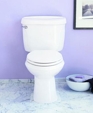 Yorkville Two-Piece Elongated Pressure Assisted Toilet