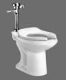 Madera 17" Elongated Toilet