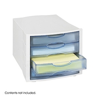 4 Drawer Organizer