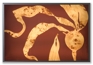 bull kelp lightbox