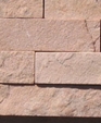 Desert Rose