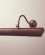 Swan Neck Picture Light Swan Neck Picture Light
